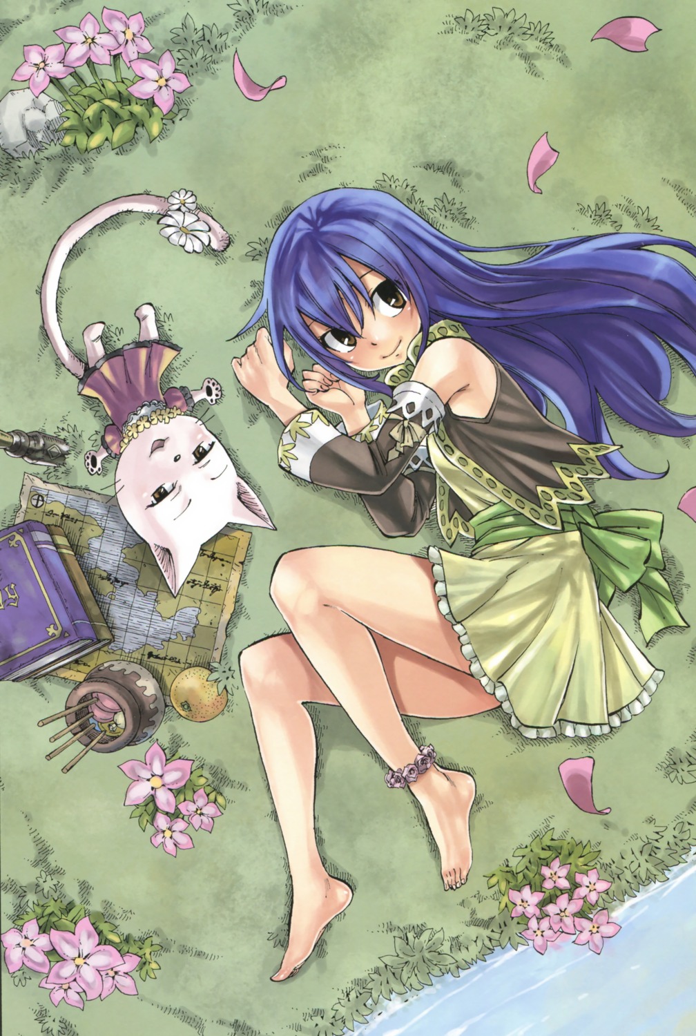 charle, dress, fairy_tail, feet, mashima_hiro, neko, wendy_marvell