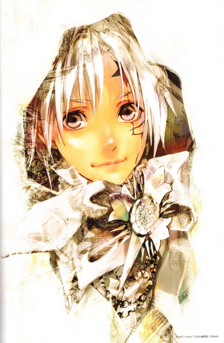 allen_walker, d.gray-man, houseki-hime, male