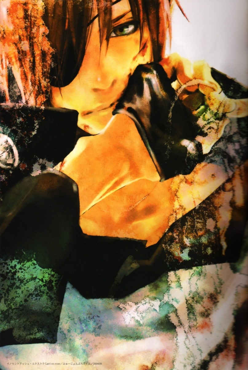 d.gray-man, houseki-hime, lavi, male