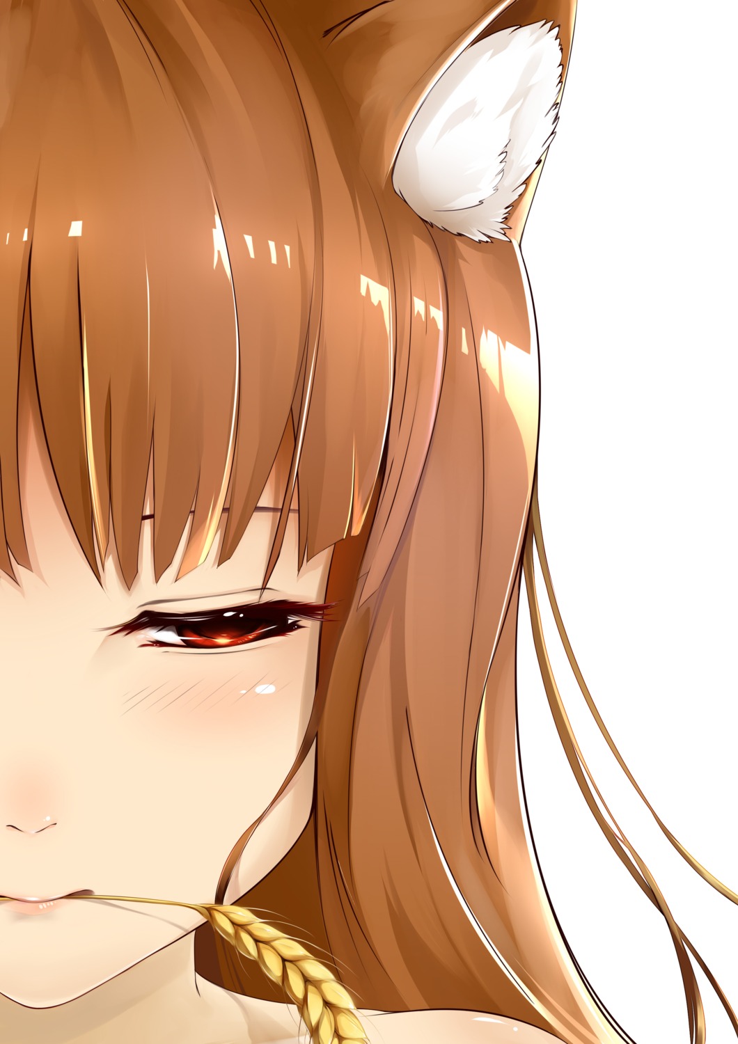 animal_ears, c_(pixiv3064042), holo, spice_and_wolf
