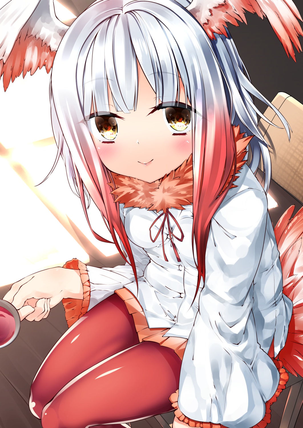 crested_ibis, kemono_friends, pantyhose, shirasagi_rokuwa, wings