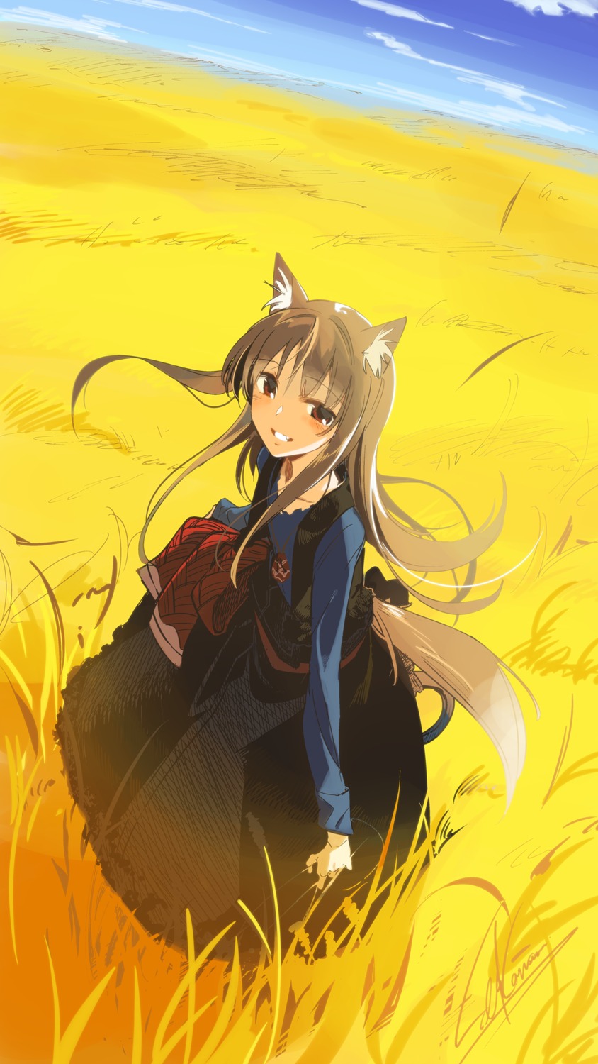 animal_ears, holo, seu_kaname, spice_and_wolf, tail