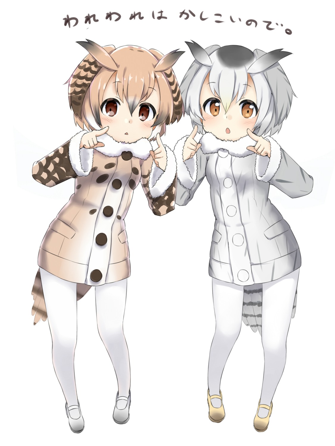 eurasian_eagle_owl, kemono_friends, northern_white-faced_owl, pantyhose, sekira_ame, tail