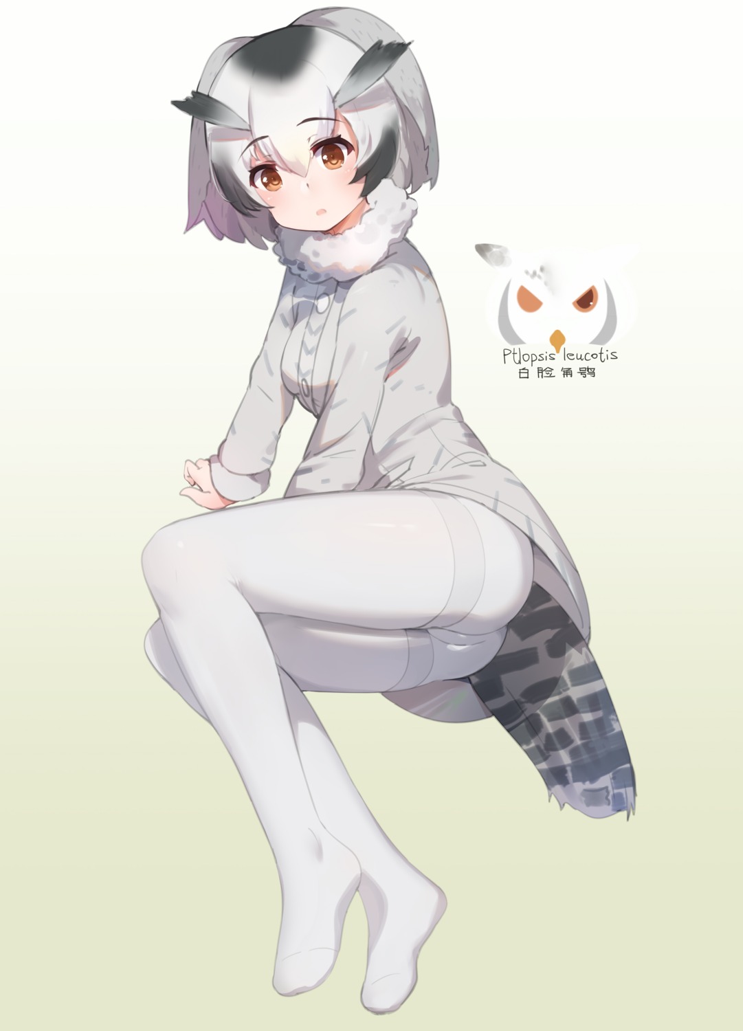 feet, kemono_friends, northern_white-faced_owl, pantyhose, tail, ze_(wzfnn001)