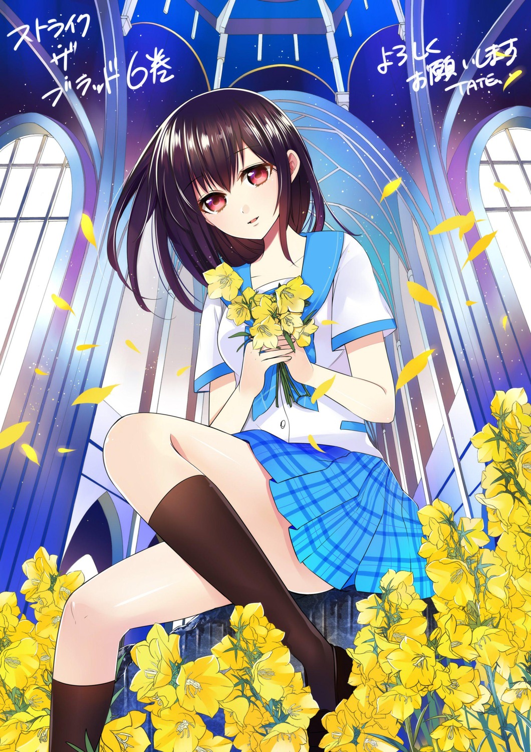 himeragi_yukina, seifuku, strike_the_blood, tate