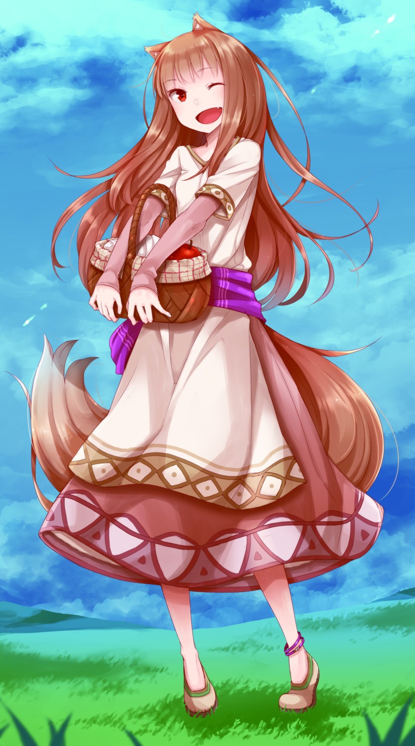 animal_ears, ayakura_juu, dress, holo, spice_and_wolf, tail