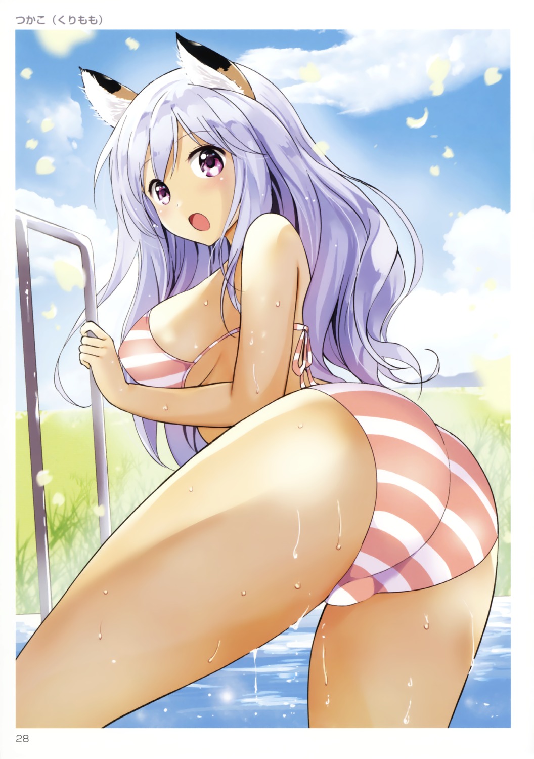 animal_ears, ass, bikini, kurimomo, swimsuits, toranoana, tsukako, wet