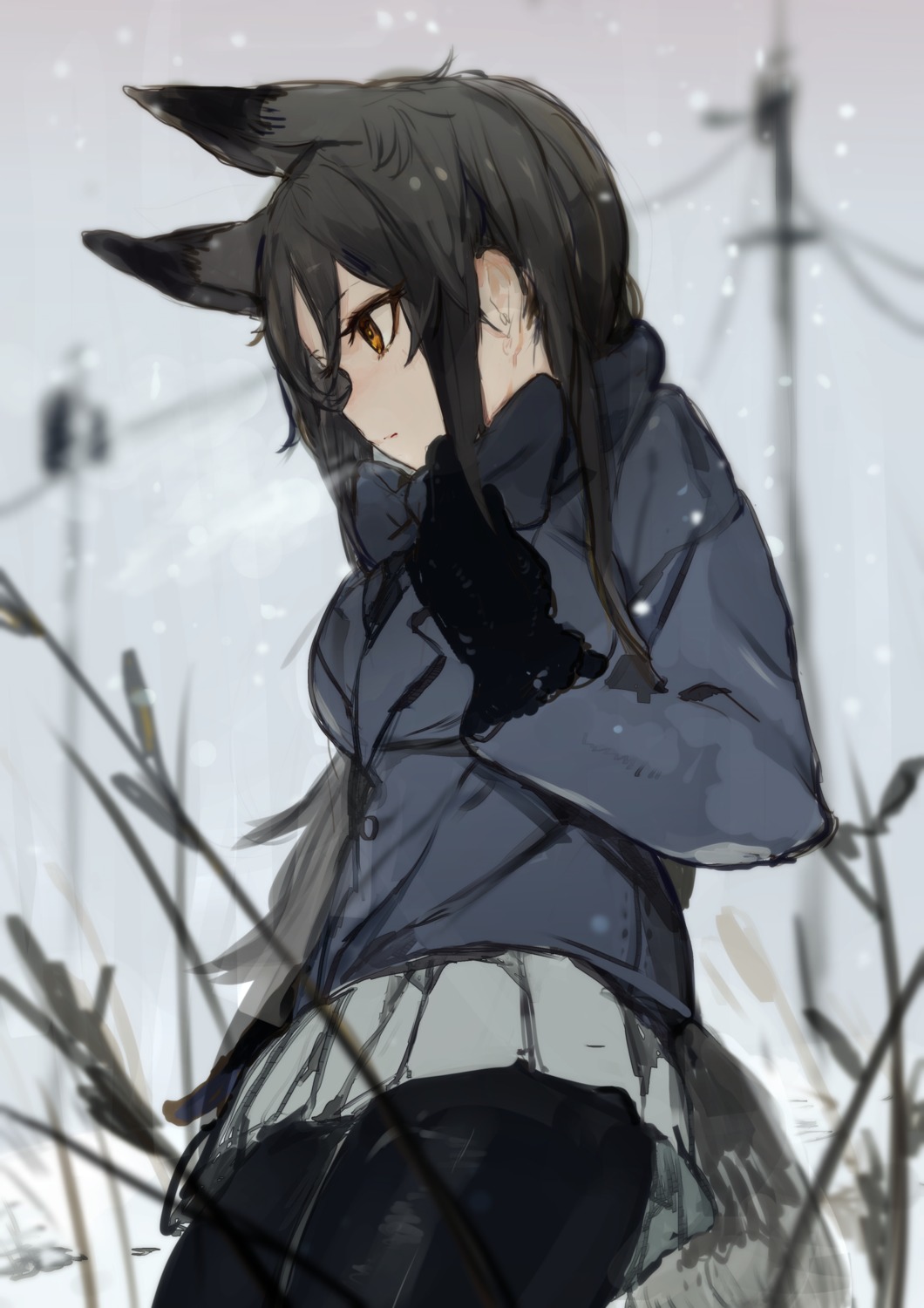animal_ears, hiranko, kemono_friends, pantyhose, silver_fox