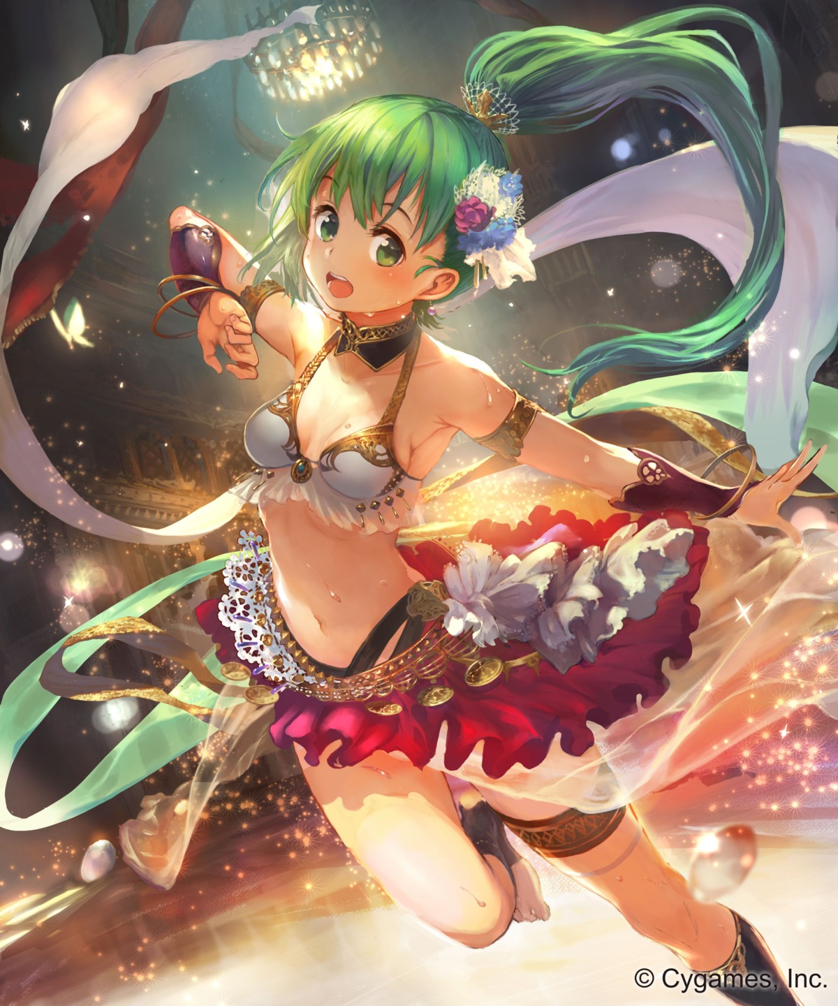 bikini_top, cleavage, garter, igarashi_youhei, see_through, shingeki_no_bahamut, swimsuits