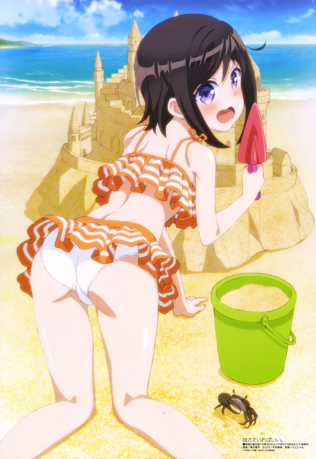 aoki_shinpei, ass, bikini, hashima_chihiro, imouto_sae_ireba_ii., swimsuits