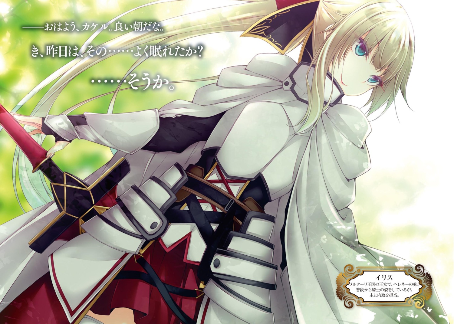 armor, kujibiki_tokushou:_musou_harem_ken, luna_lia, sword
