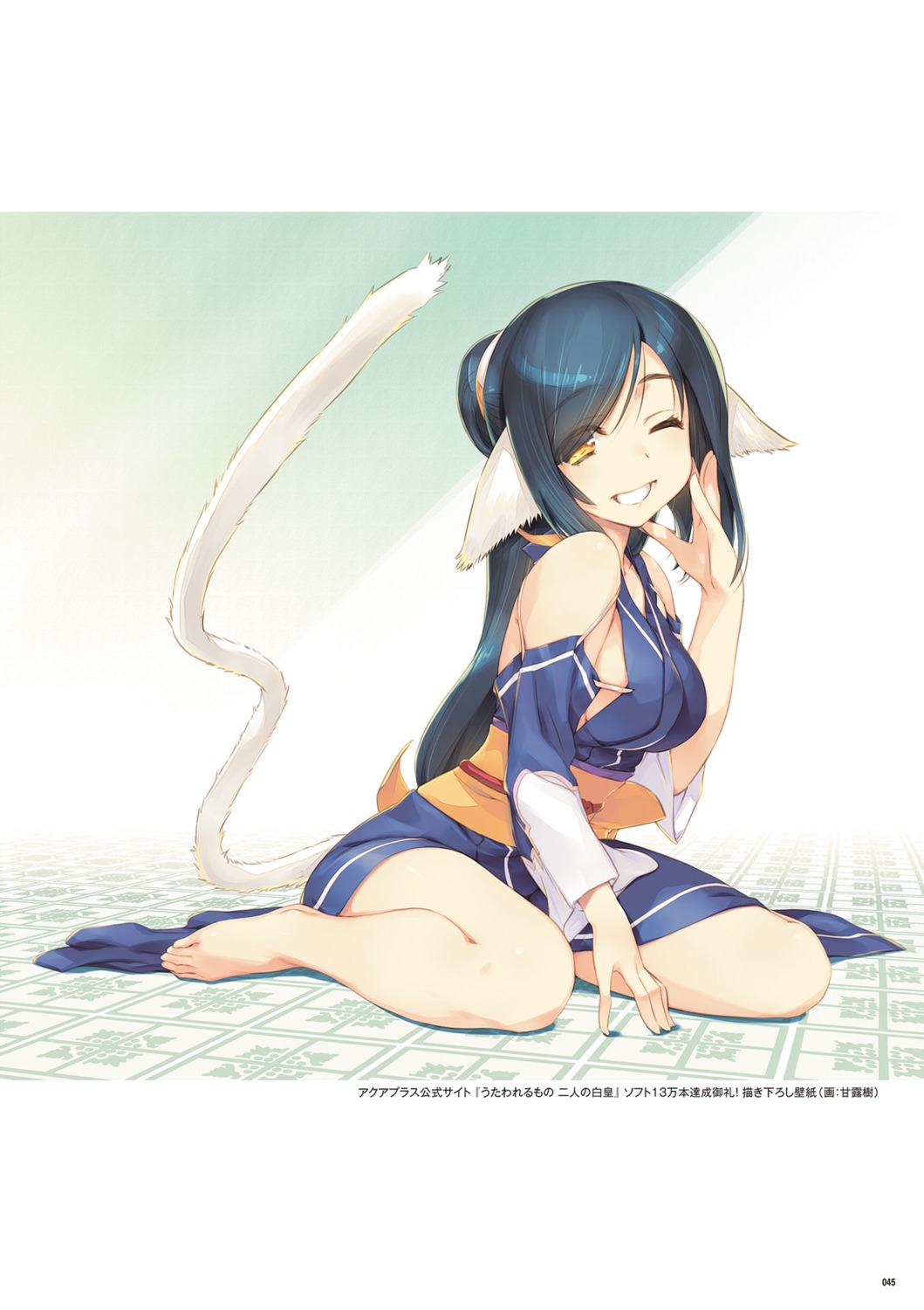 amaduyu_tatsuki, animal_ears, asian_clothes, kuon_(utawarerumono), tail, utawarerumono, utawarerumono_futari_no_hakuoro