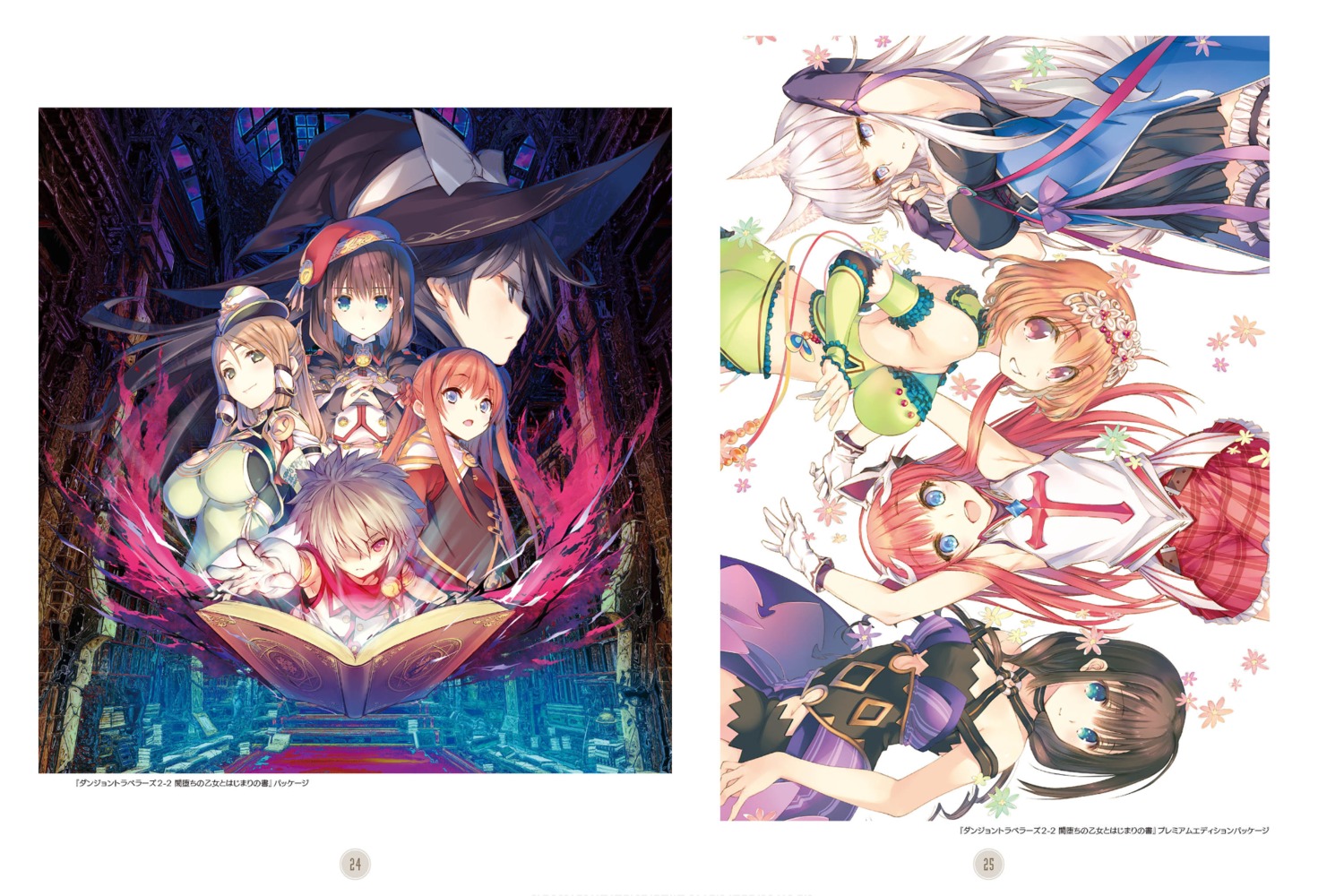 animal_ears, armor, dungeon_travelers_2, dungeon_travelers_2-2, garter