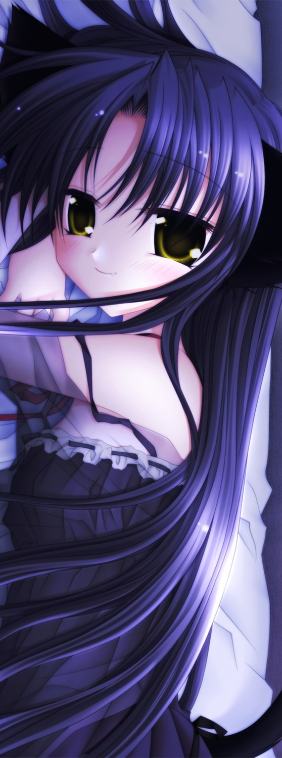 animal_ears, lingerie, nekomimi, pure_pure, sakurazawa_izumi, tobari