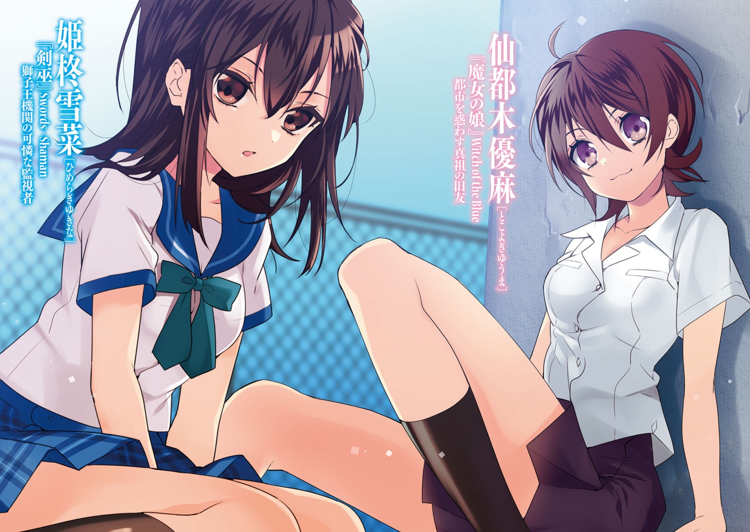 himeragi_yukina, manyako, seifuku, strike_the_blood, tokoyogi_yuuma