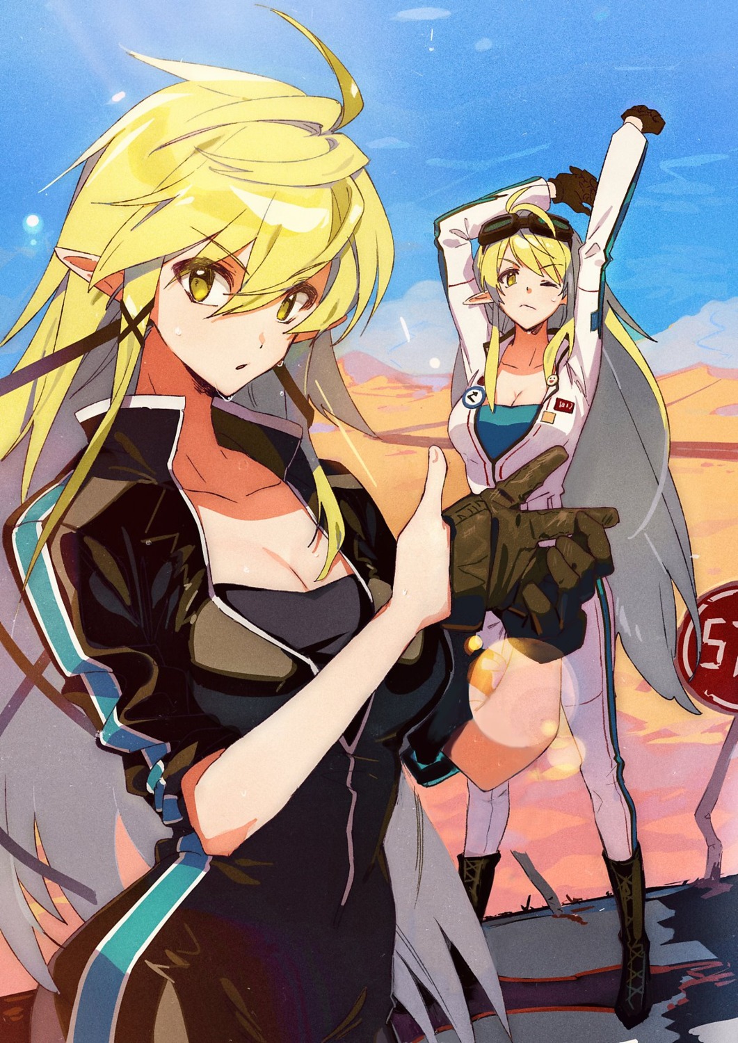 bodysuit, cleavage, elf, elsword, jpeg_artifacts, pointy_ears, rena_(elsword), tagme