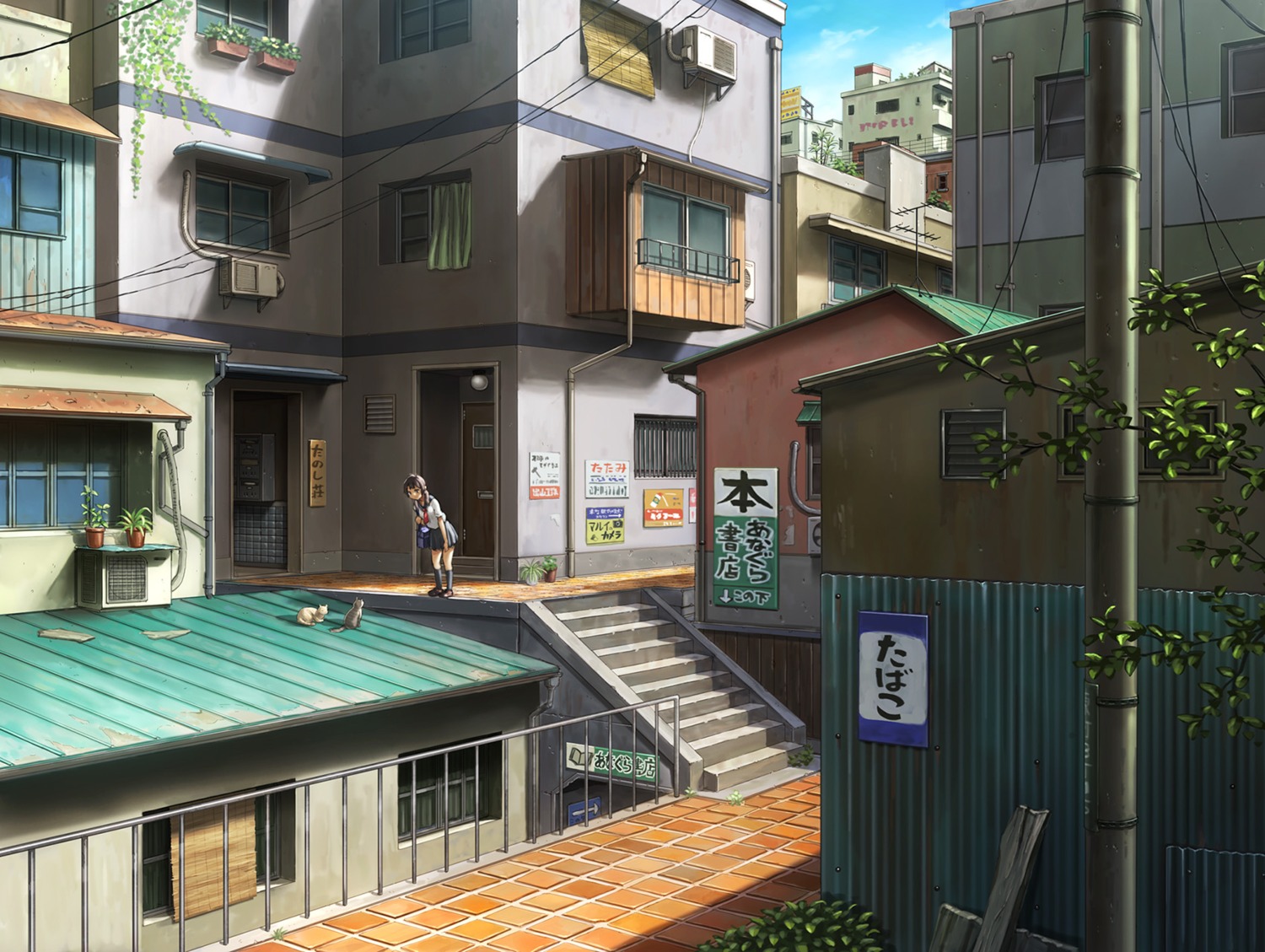 hashi, landscape, neko, seifuku