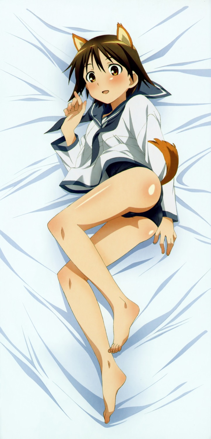 animal_ears, ass, dakimakura, miyafuji_yoshika, onoda_masahito, school_swimsuit, seifuku, strike_witches
