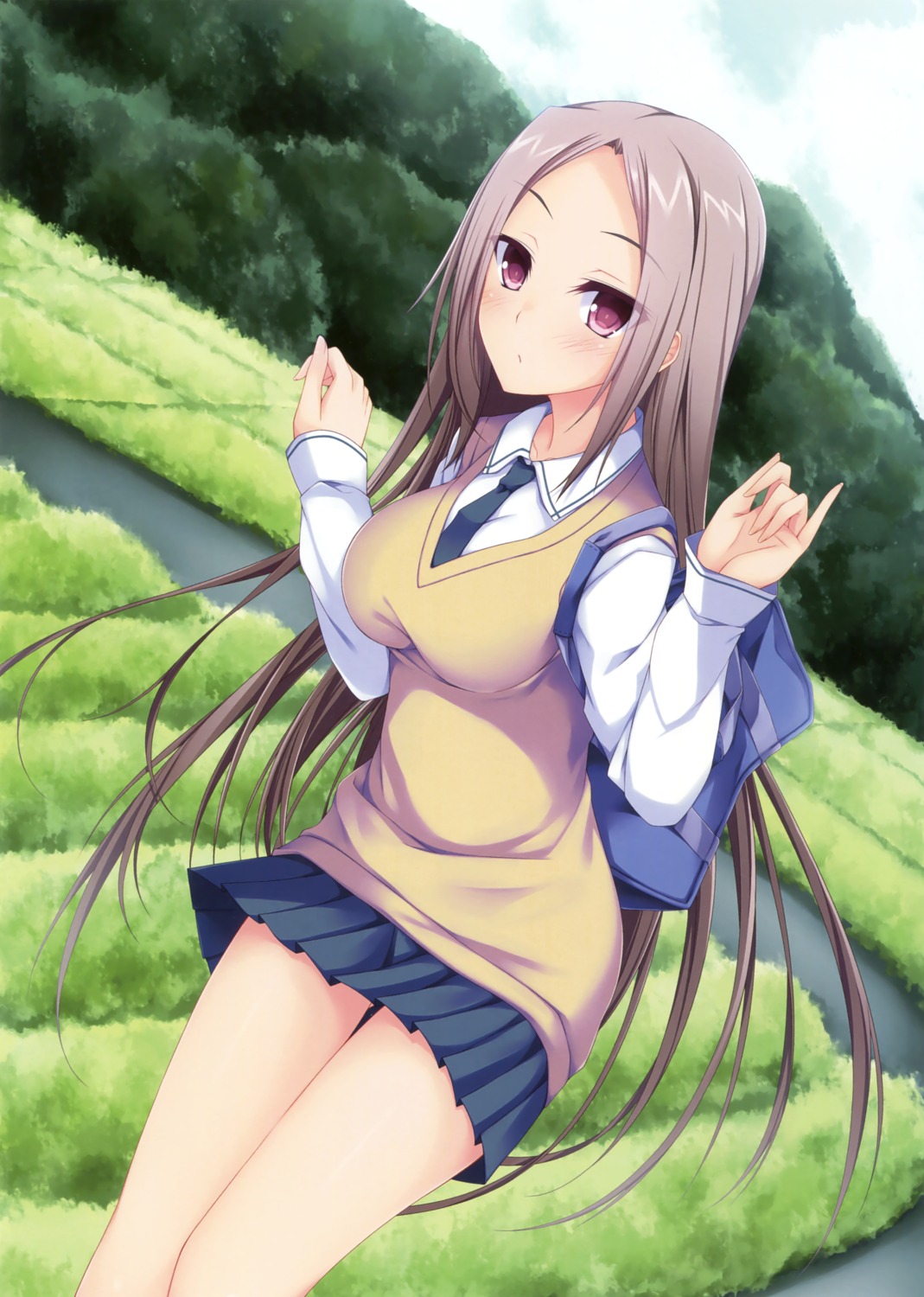 seifuku, suterii