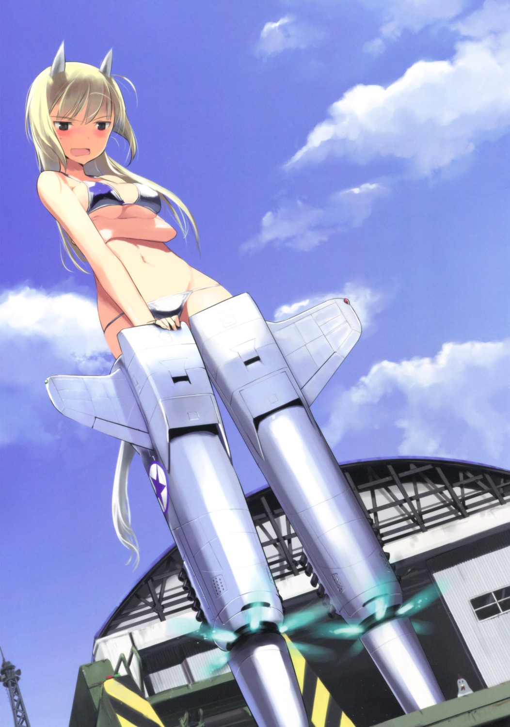 animal_ears, bikini, breast_hold, cleavage, erect_nipples, marian_e_carl, shimada_humikane, strike_witches, swimsuits, tail, underboob