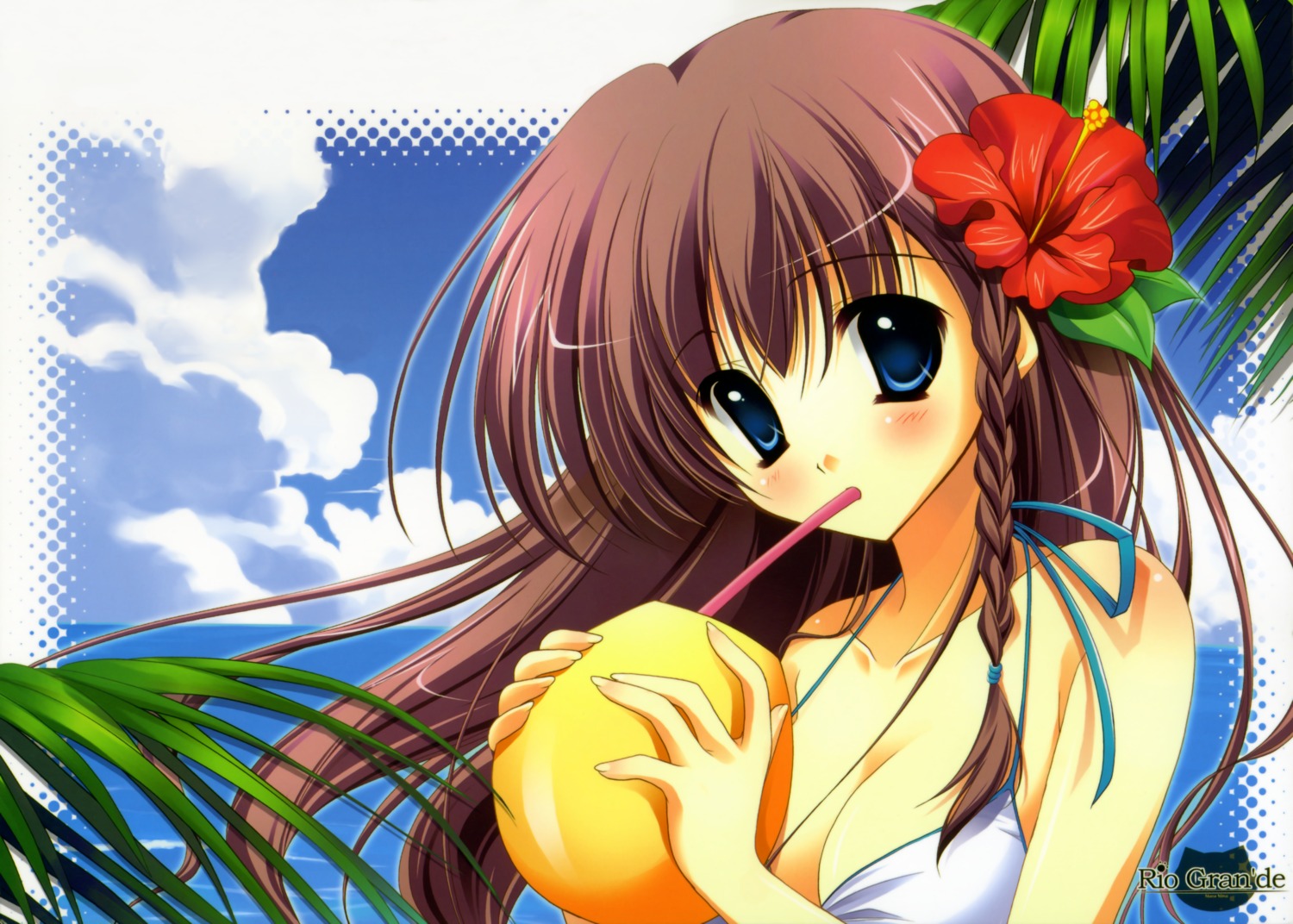 bikini, cleavage, mitsui_mana, rio-grande, swimsuits