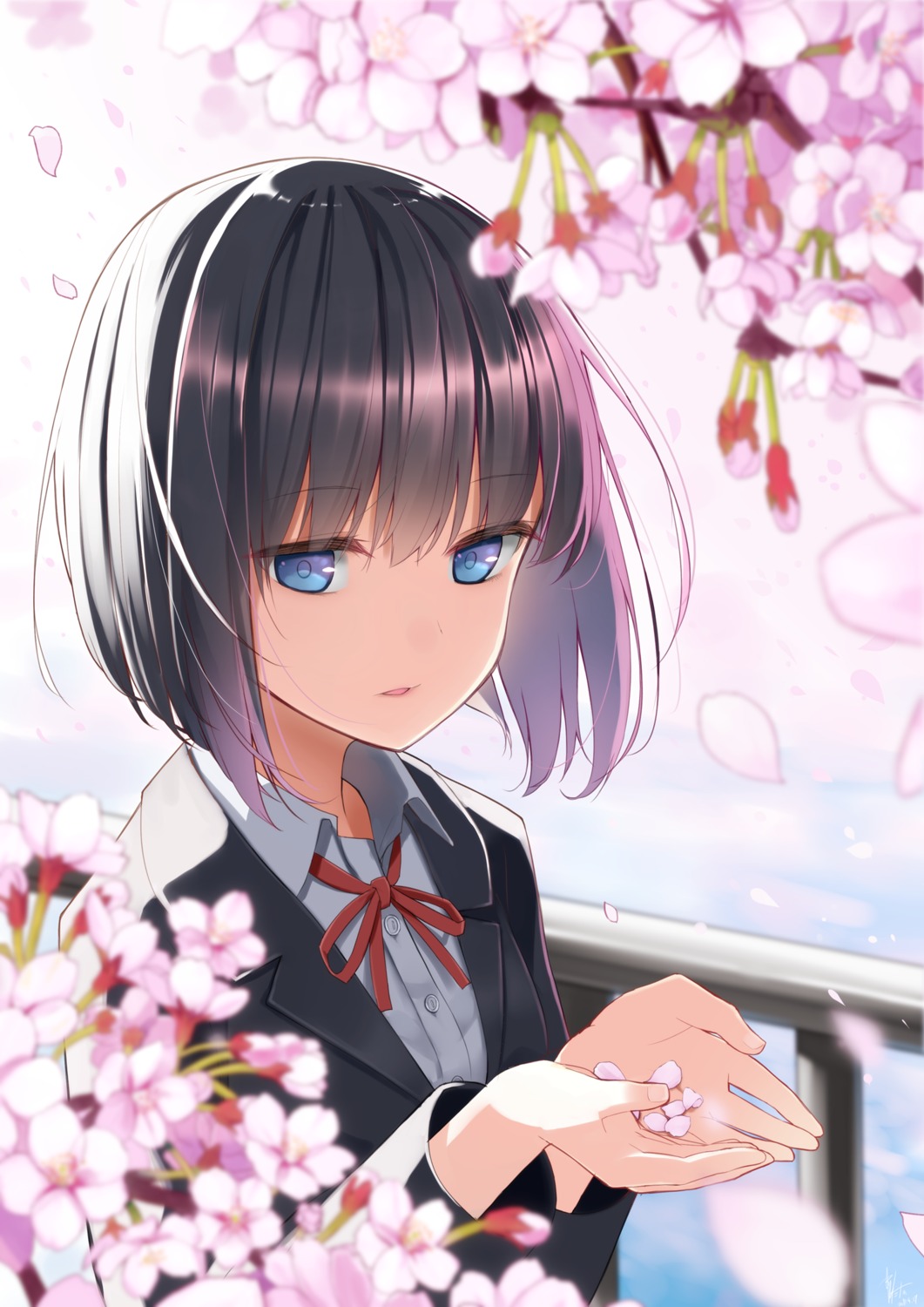 makadamixa, seifuku