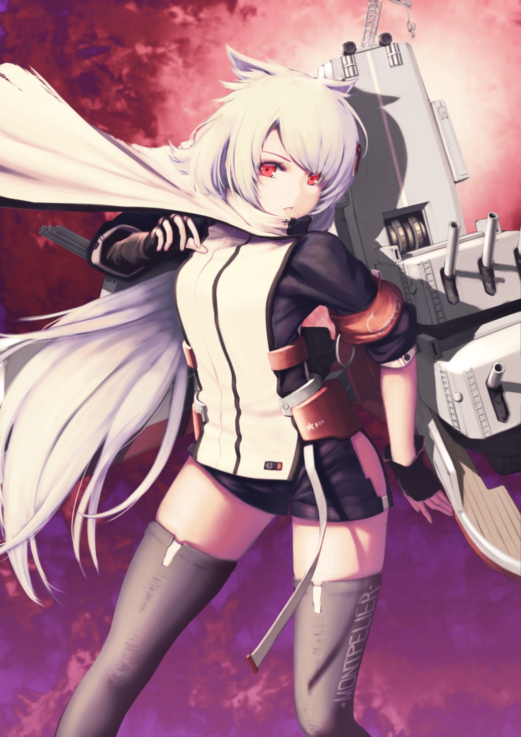 animal_ears, azur_lane, itaco, montpelier_(azur_lane), thighhighs