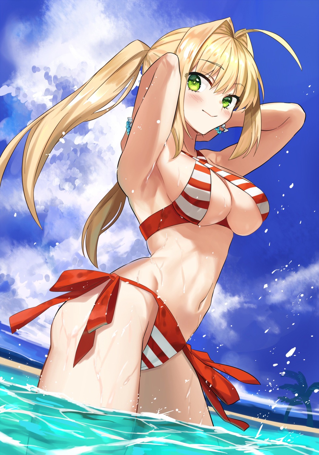 ashiwara_yuu, bikini, cleavage, fate/grand_order, nero_claudius_(fate), swimsuits, underboob, wet