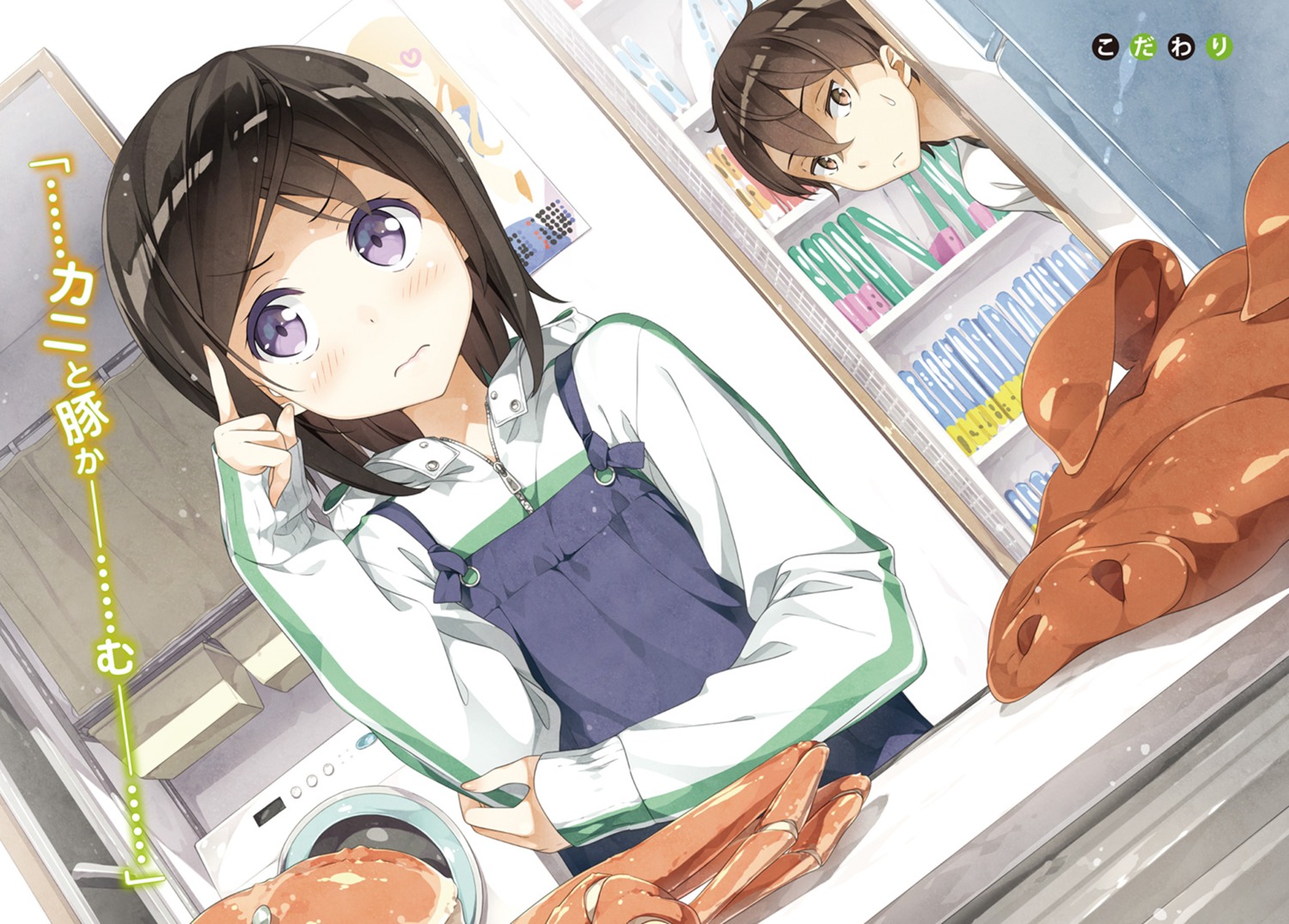 hashima_chihiro, hashima_itsuki, imouto_sae_ireba_ii., kantoku