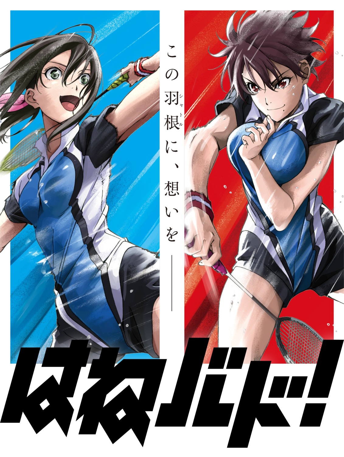 aragaki_nagisa, breast_hold, gym_uniform, hanebado!, hanesaki_ayano, tagme