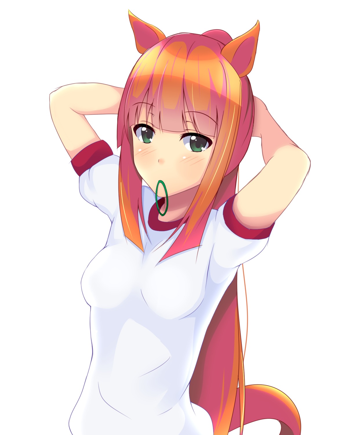 animal_ears, gym_uniform, silence_suzuka_(umamusume), tail, uechirou, uma_musume_pretty_derby