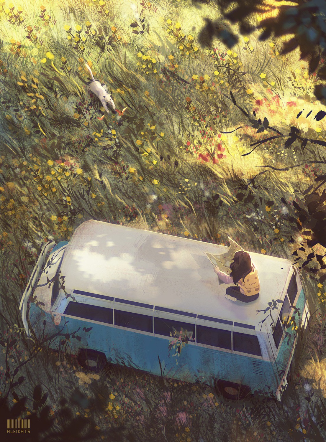 aleikats, landscape, neko