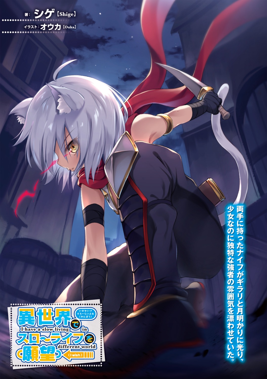 animal_ears, armor, isekai_de_slow_life_wo_(ganbou), oukatihiro, tail, weapon