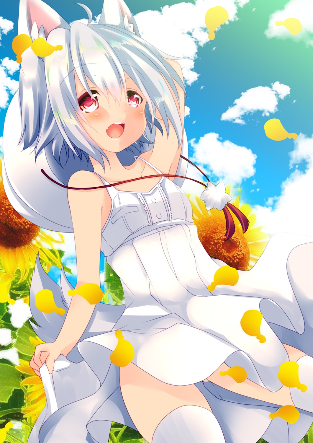 animal_ears, dress, hikanyan, inubashiri_momiji, summer_dress, tail, thighhighs, touhou