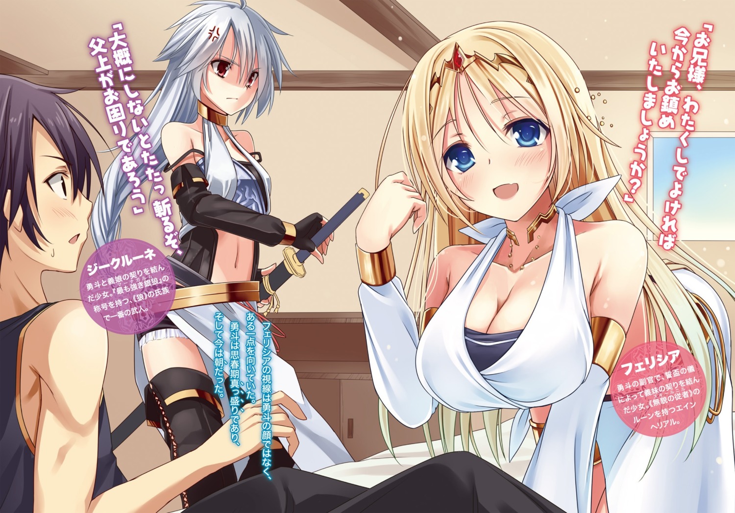 cleavage, felicia_(hyakuren_no_haou_to_seiyaku_no_ikusa_otome), hyakuren_no_haou_to_seiyaku_no_valkyria, sword, thighhighs, yukisan