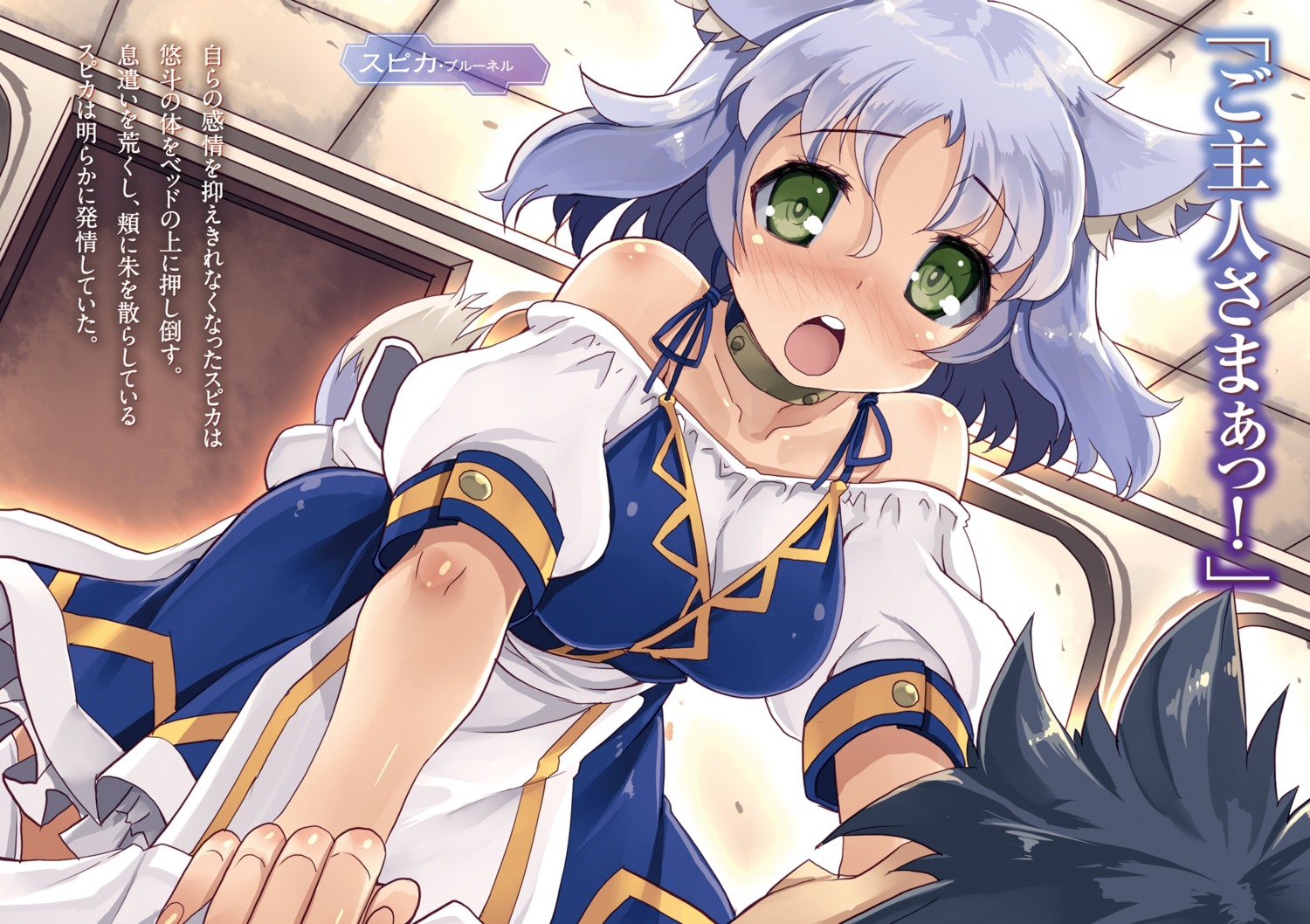 animal_ears, dress, isekai_shihai_no_skill_taker, tail, tsurugi_hagane