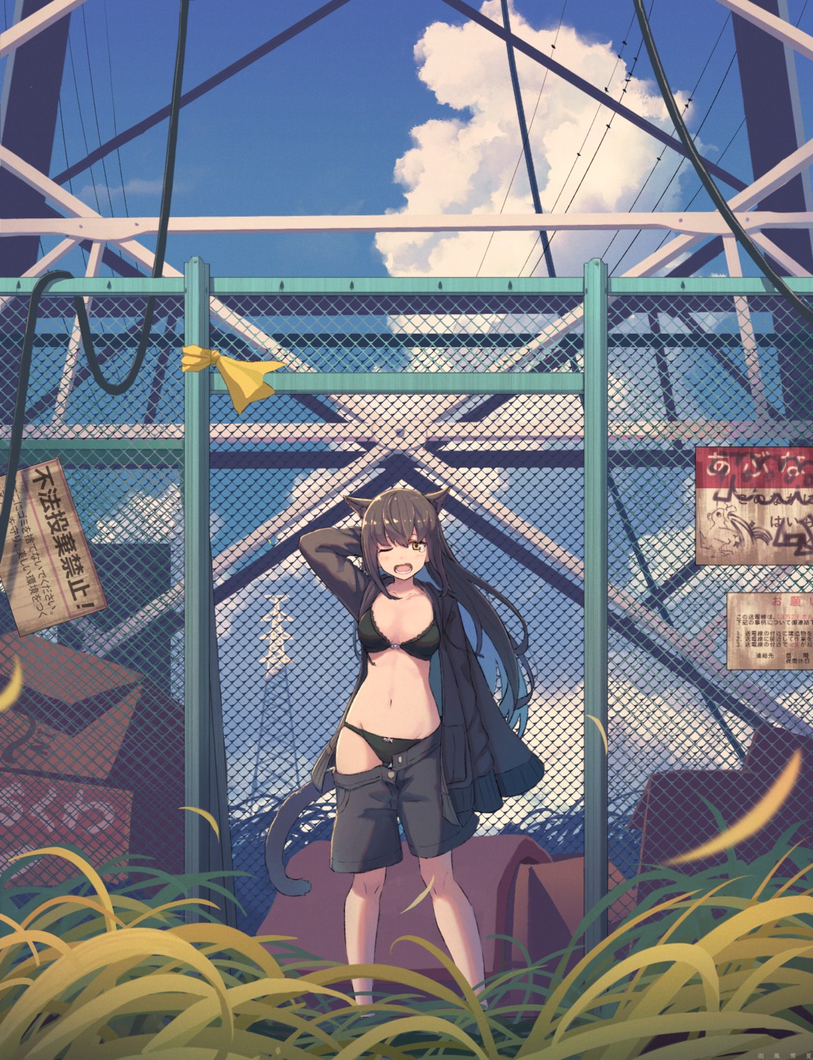 amekaze_yukinatsu, animal_ears, bra, cleavage, nekomimi, open_shirt, pantsu, tail