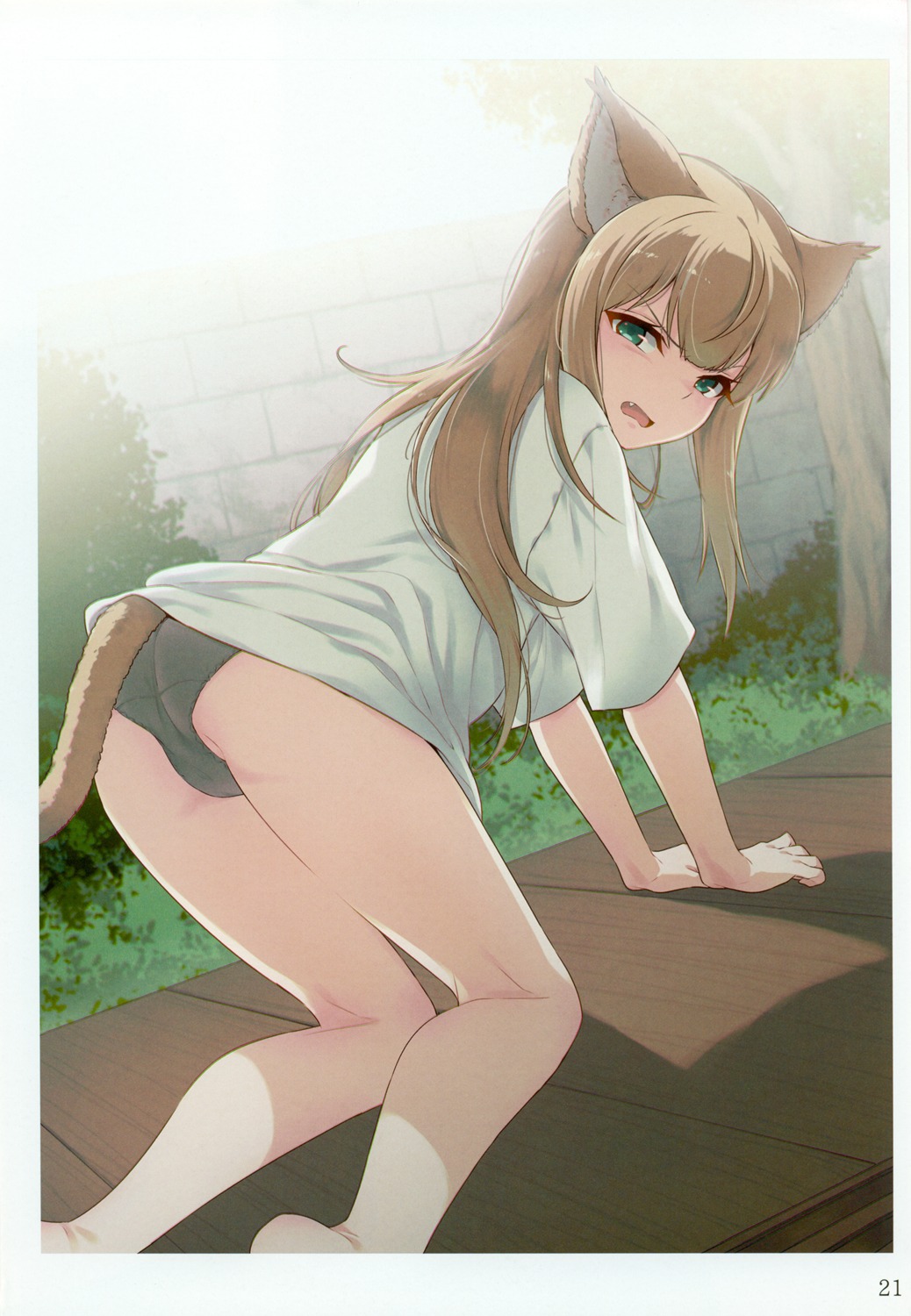 40hara, animal_ears, ass, kinako_(40hara), nekomimi, pantsu, tail