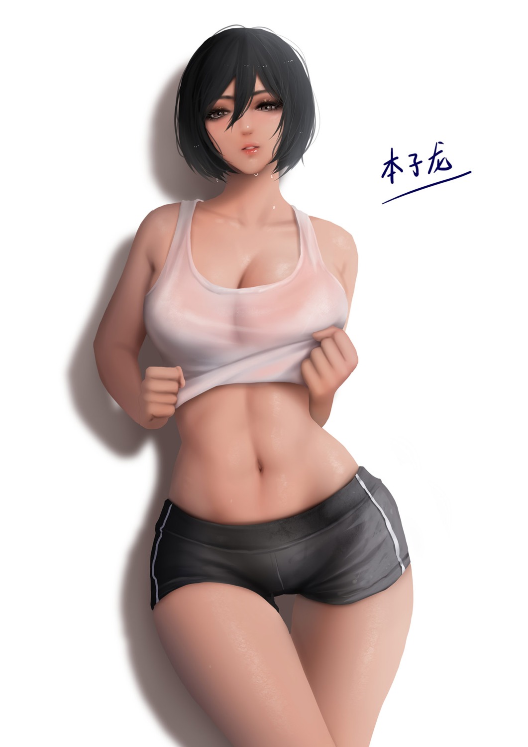 cleavage, mikasa_ackerman, no_bra, see_through, shingeki_no_kyojin, shirt_lift, zyl