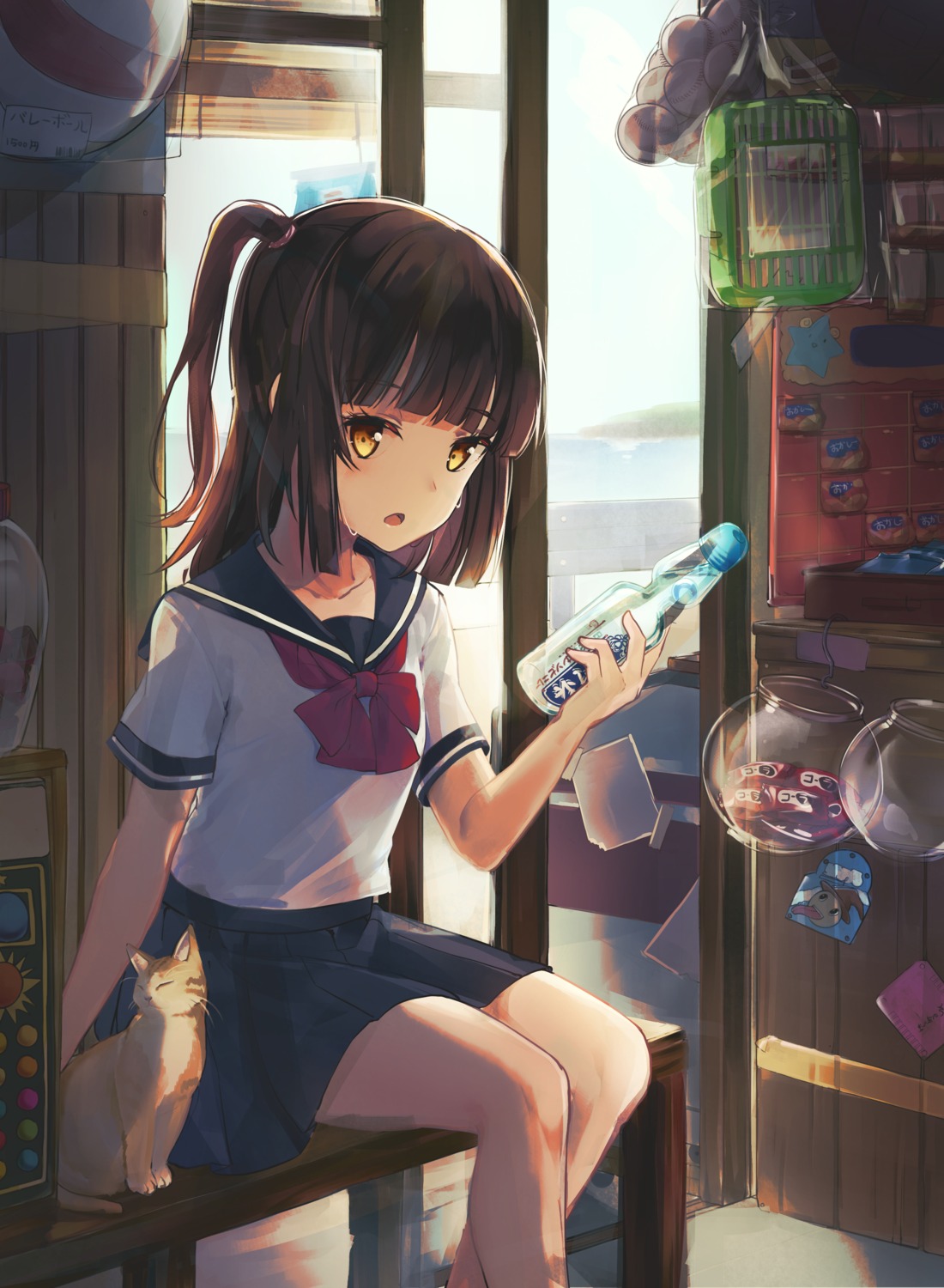bada_(jksh5056), neko, seifuku