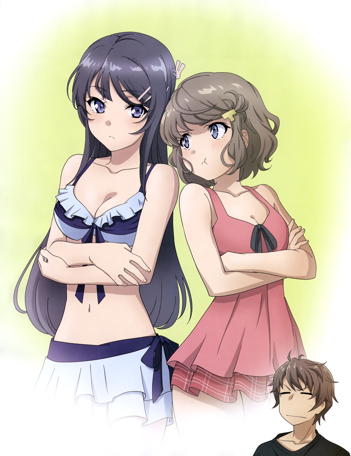 azusagawa_sakuta, bikini, cleavage, koga_tomoe, sakurajima_mai, seishun_buta_yarou, swimsuits, tagme