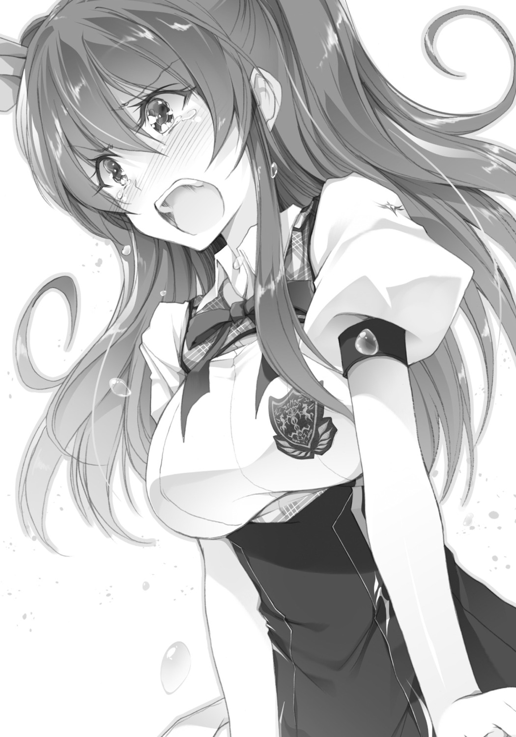 monochrome, rakudai_kishi_no_cavalry, seifuku, stella_vermillion, won_(az_hybrid)