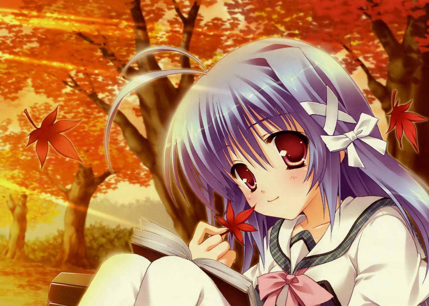 aoi_kokona, hinamatsuri_touko, mikoko