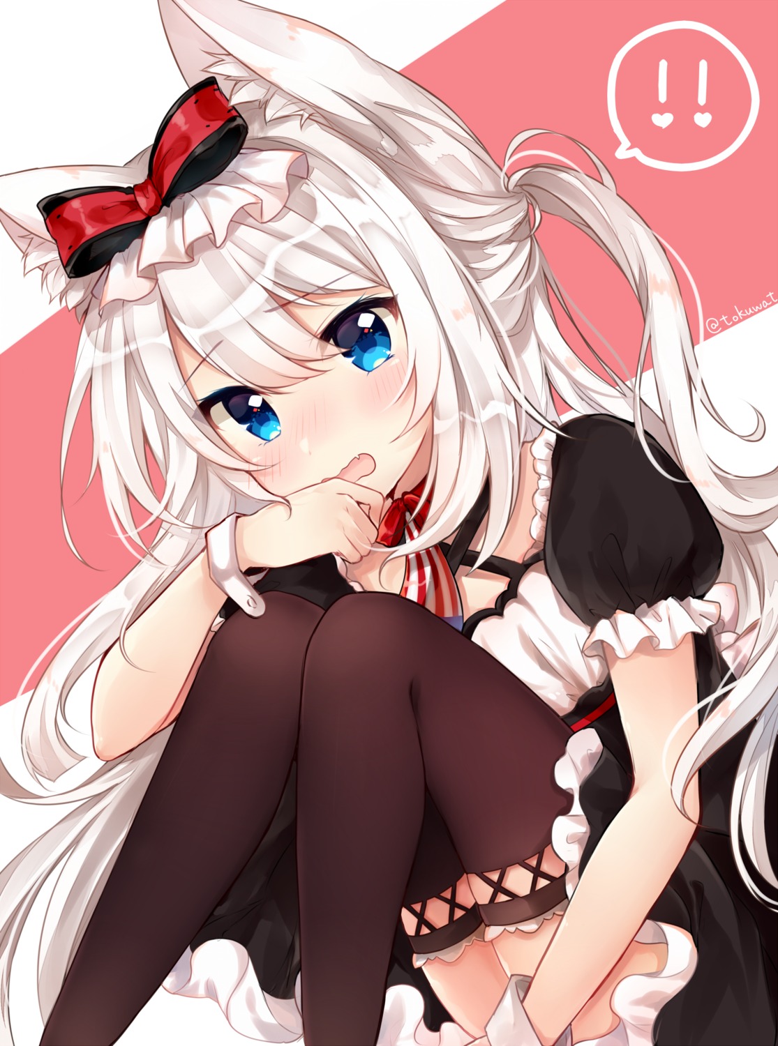 animal_ears, azur_lane, fukunoki_tokuwa, hammann_(azur_lane), maid, nekomimi, thighhighs