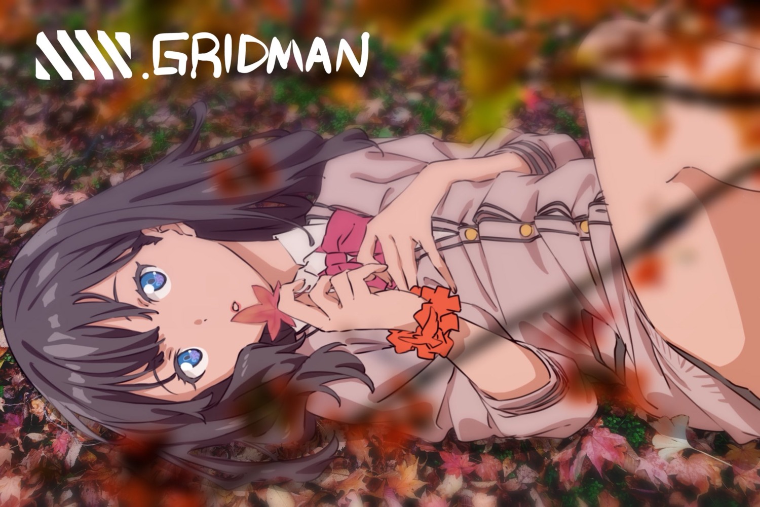 breast_hold, gridman_universe, saitou_kengo, seifuku, ssss.gridman, sweater, takarada_rikka