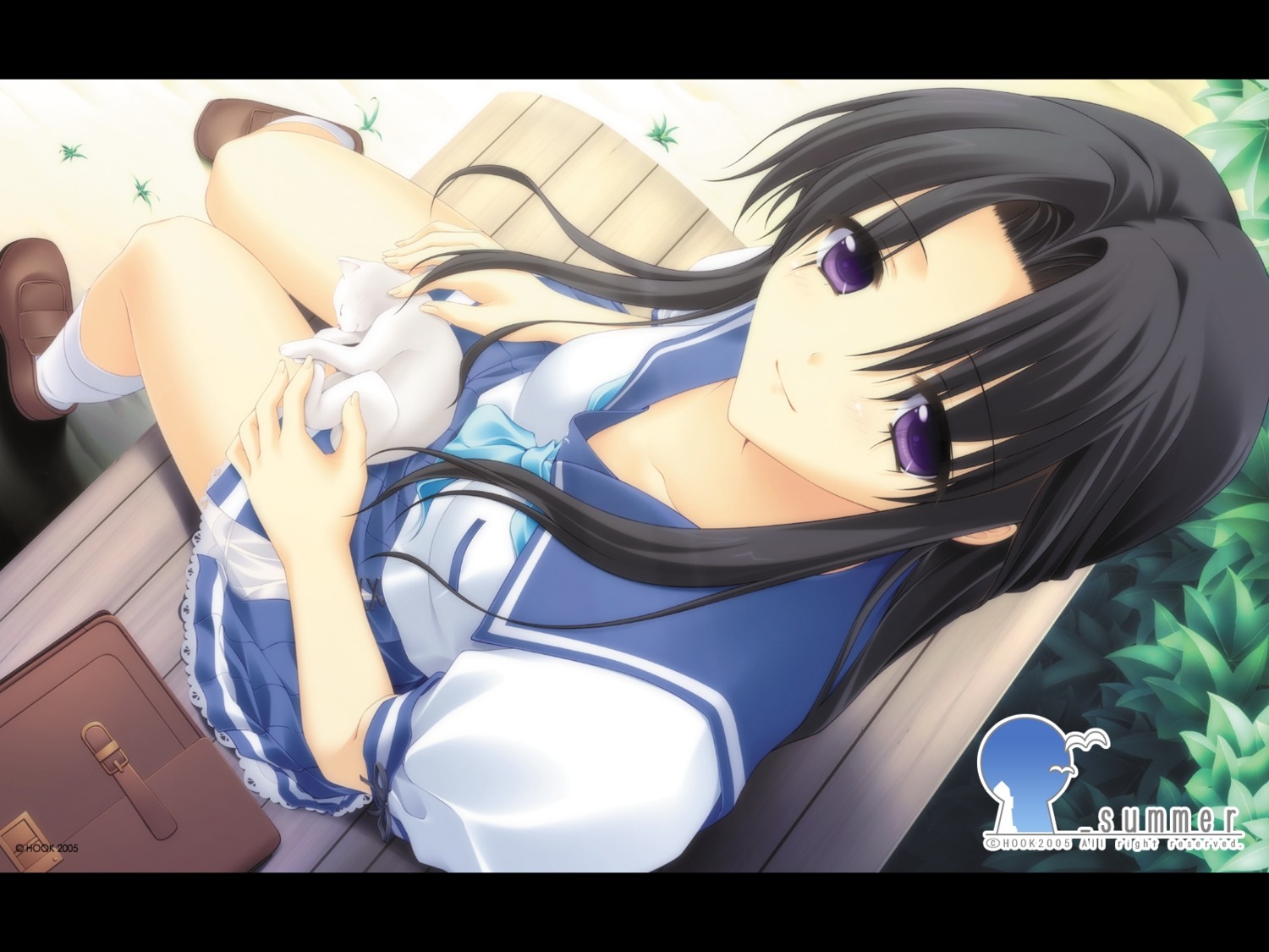 _summer, hook, neko, seifuku, shimazu_wakana, wallpaper