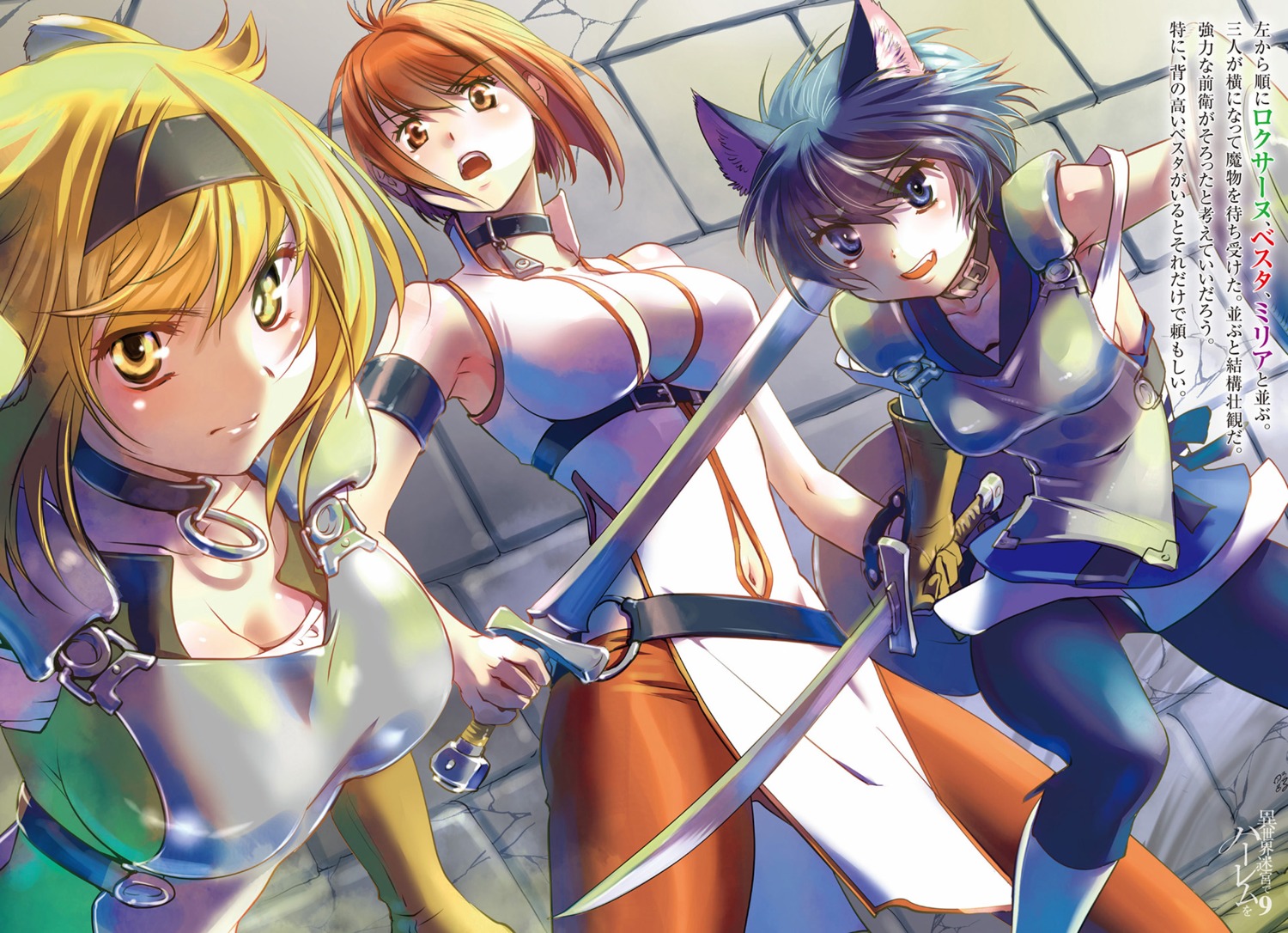 animal_ears, armor, cleavage, isekai_meikyuu_de_harem_wo, miria_(isekai_meikyuu_de_harem_wo), nekomimi, roxanne_(isekai_meikyuu_de_harem_wo), shikidouji