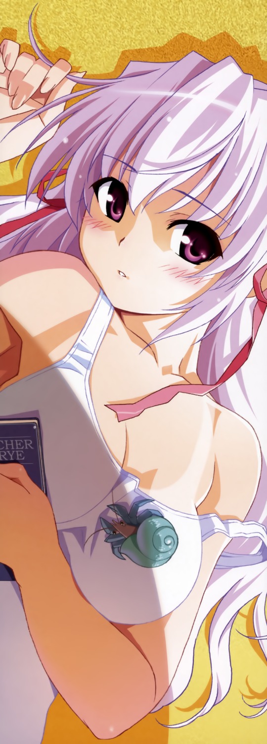 estel_freesia, stick_poster, swimsuits, tan_lines, watanabe_akio, yoake_mae_yori_ruriiro_na