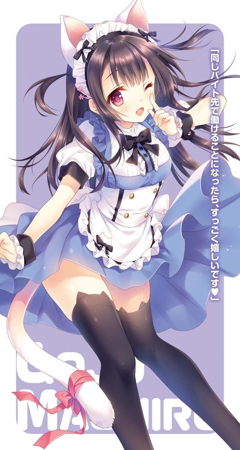 animal_ears, dousei_kara_hajimaru_otaku_kanojo_no_tsukurikata, gojyou_mashiro, maid, nekomimi, skirt_lift, tail, tatekawa_mako