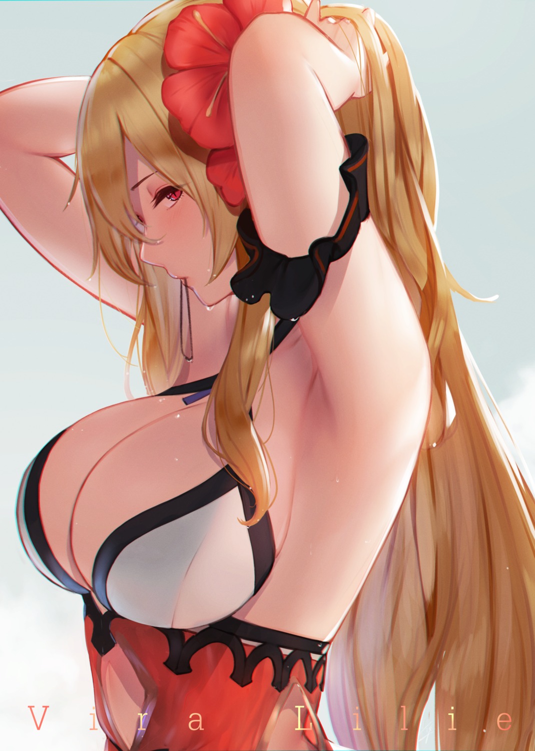 granblue_fantasy, hayabusa, vira_(granblue_fantasy)